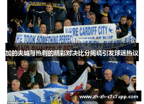 加的夫城与热刺的精彩对决比分揭晓引发球迷热议