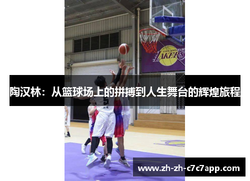陶汉林：从篮球场上的拼搏到人生舞台的辉煌旅程